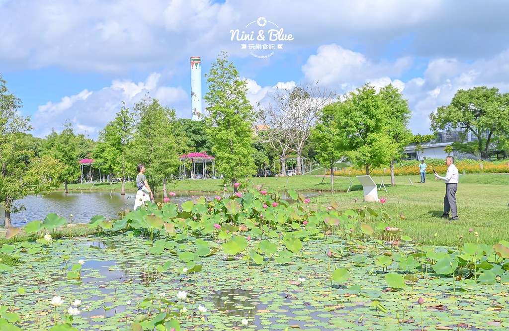 台中后里金針花 后里環保公園金針花12 台中后里金針花 后里環保公園金針花12